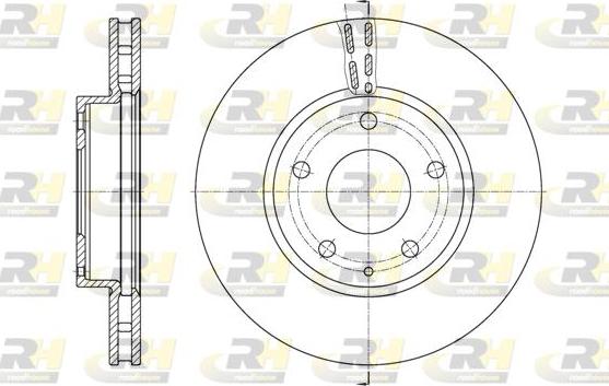 Roadhouse 61573.10 - Гальмівний диск autocars.com.ua