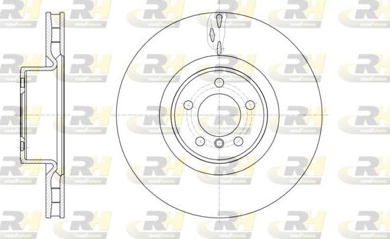 Roadhouse 61661.10 - Тормозной диск avtokuzovplus.com.ua