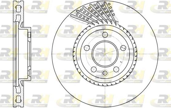 Roadhouse 6749.10 - Гальмівний диск autocars.com.ua