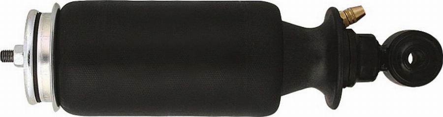 Rota 20916458 - Гаситель, кріплення кабіни autocars.com.ua