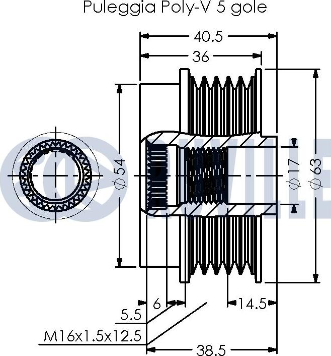 Ruville 542493 - Шкив генератора, муфта avtokuzovplus.com.ua