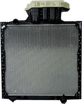 RYME 43134 - Радиатор, охлаждение двигателя autodnr.net