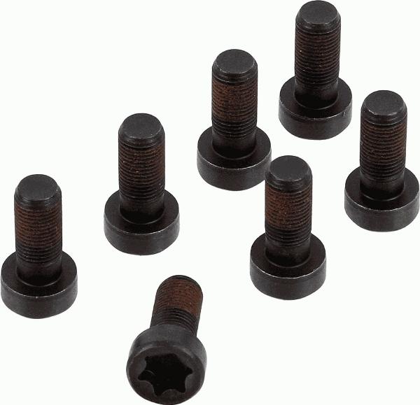 SACHS 1874 000 083 - Комплект болтів, маховик autocars.com.ua