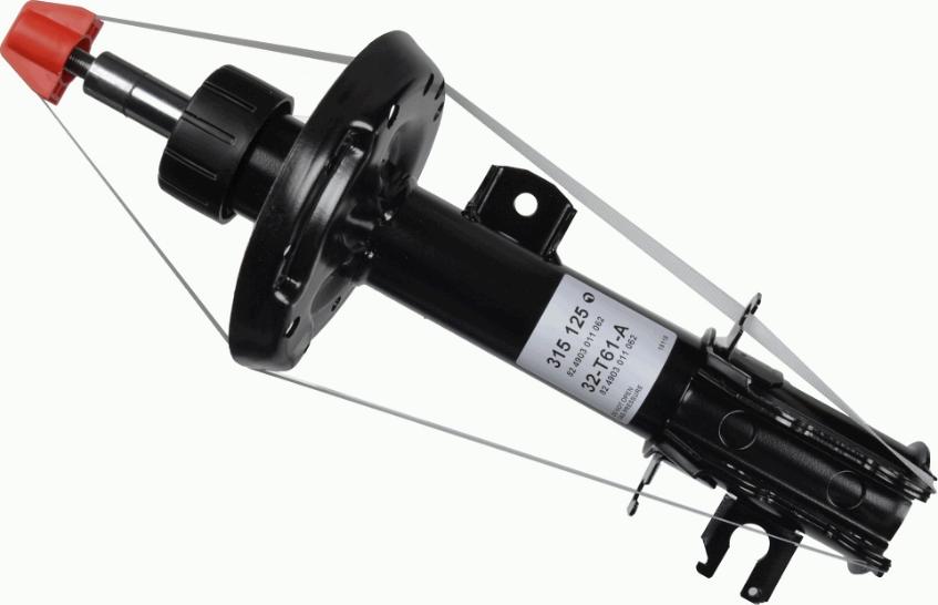 SACHS 315 125 - Амортизатор autodnr.net