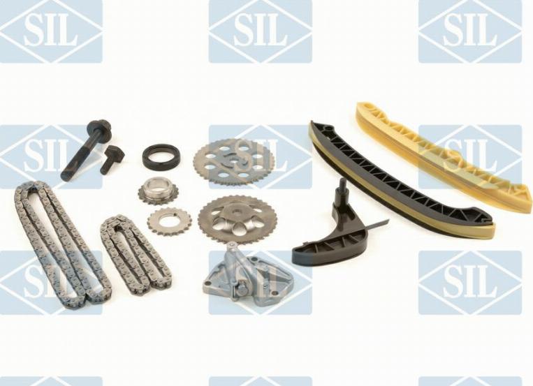 Saleri SIL CK5086 - Комплект ланцюга приводу распредвала autocars.com.ua