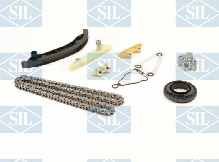 Saleri SIL CK5138 - Комплект ланцюга приводу распредвала autocars.com.ua