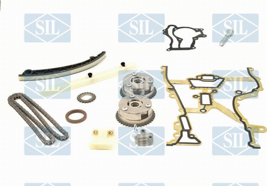 Saleri SIL CK5150 - Комплект цепи привода распредвала autodnr.net