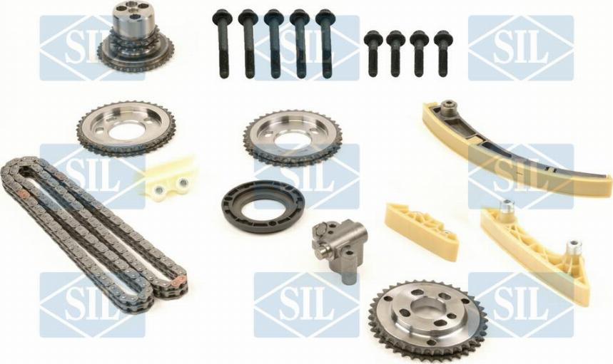 Saleri SIL CK5193 - Комплект цепи привода распредвала autodnr.net