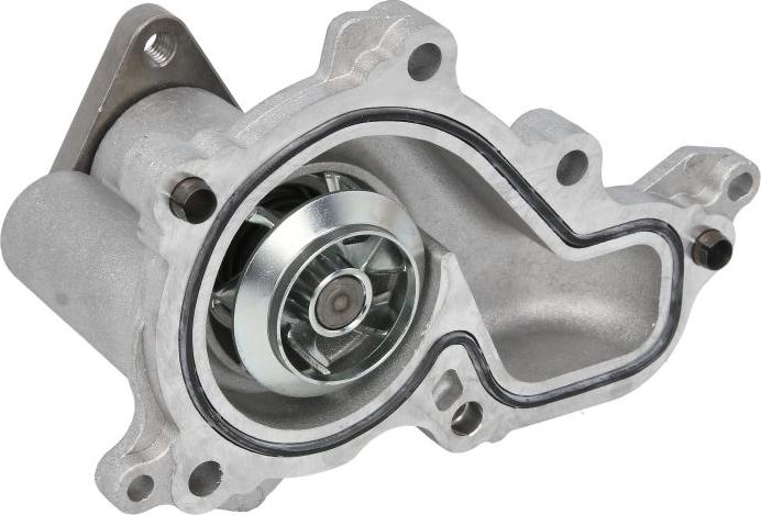 Saleri SIL PA1750 - Водяний насос autocars.com.ua