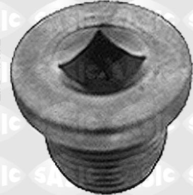 Sasic 3110070 - Резьбовая пробка, масляний піддон autocars.com.ua