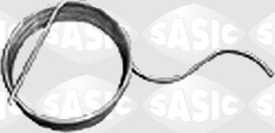 Sasic 6541341 - Пружина, система тяг і важелів газу autocars.com.ua