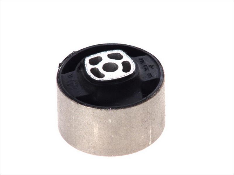 Sasic 8091331 - Подушка, підвіска двигуна autocars.com.ua