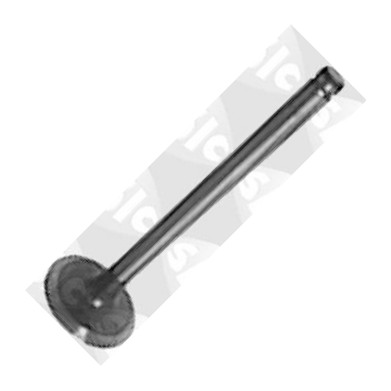 Sasic 9480550 - Впускний клапан autocars.com.ua