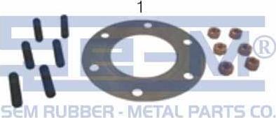 Sem Lastik 11756 - Комплект прокладок, компрессор autodnr.net