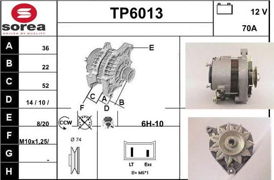 Sera TP6013 - Генератор autocars.com.ua