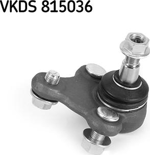 SKF VKDS 815036 - Несучий / направляючий шарнір autocars.com.ua