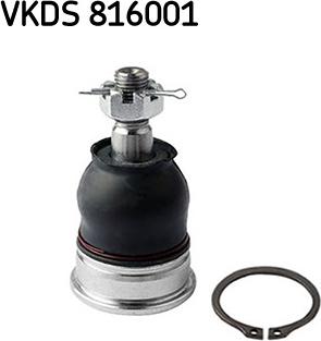 SKF VKDS 816001 - Несучий / направляючий шарнір autocars.com.ua