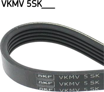 SKF VKMV 5SK595 - Поликлиновой ремень autodnr.net