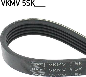 SKF VKMV 5SK748 - Поликлиновой ремень avtokuzovplus.com.ua