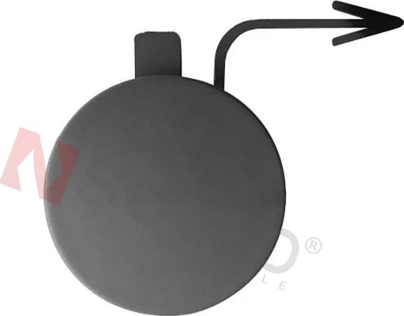 SOLLO 02R00740 - Заслінка, буксирний гак autocars.com.ua