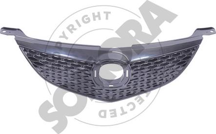 Somora 162807 - Решітка радіатора autocars.com.ua