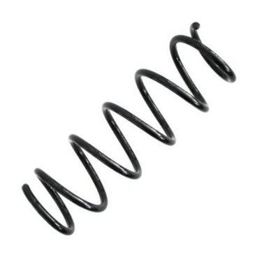 Spidan 49577 - Пружина ходової частини autocars.com.ua