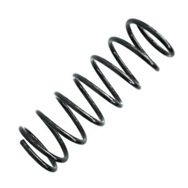 Spidan 49579 - Пружина ходової частини autocars.com.ua