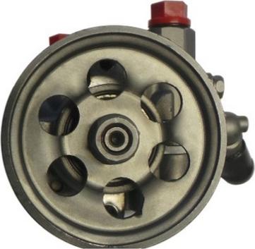 Spidan 54163 - Гідравлічний насос, рульове управління, ГУР autocars.com.ua