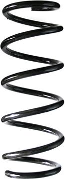 Spidan 85550 - Пружина ходової частини autocars.com.ua