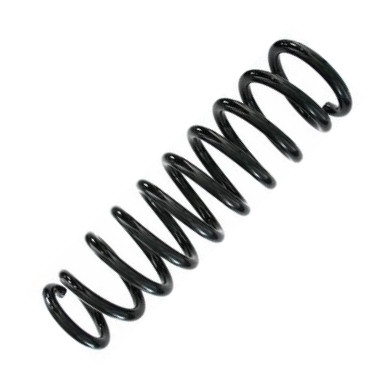 Spidan 87856 - Пружина ходової частини autocars.com.ua