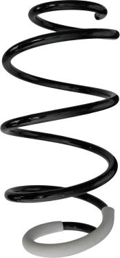 Spidan 88074 - Пружина ходової частини autocars.com.ua