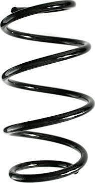 Spidan GKNW10098 - Пружина ходової частини autocars.com.ua