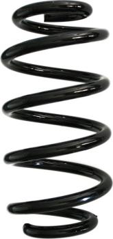 Spidan GKNW10099 - Пружина ходової частини autocars.com.ua