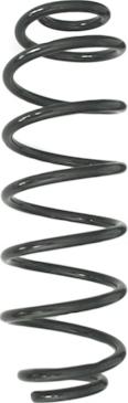 Spidan GKNW10229 - Пружина ходової частини autocars.com.ua