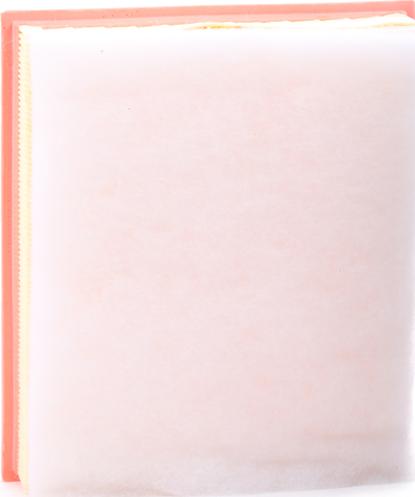 Stark SKAF-0060610 - Повітряний фільтр autocars.com.ua