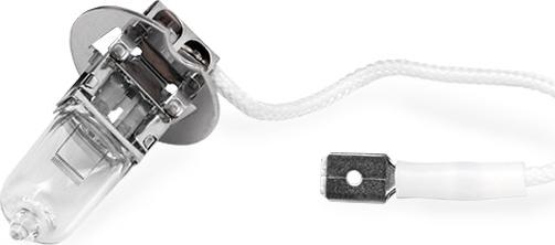 Stark SKBLB-4880009 - Лампа розжарювання, фара дальнього світла autocars.com.ua