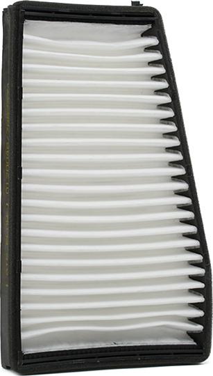 Stark SKIF-0170173 - Фільтр, повітря у внутрішній простір autocars.com.ua