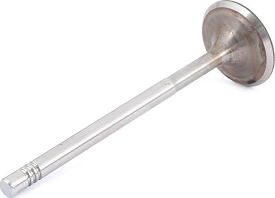 Stark SKINV-3270001 - Впускний клапан autocars.com.ua