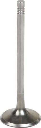 Stark SKINV-3270003 - Впускний клапан autocars.com.ua