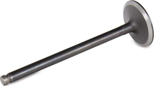 Stark SKINV-3270012 - Впускний клапан autocars.com.ua