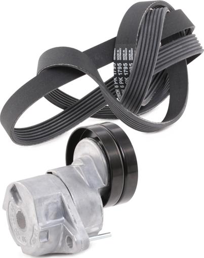 Stark SKRBS-1200049 - Поликлиновий ремінний комплект autocars.com.ua