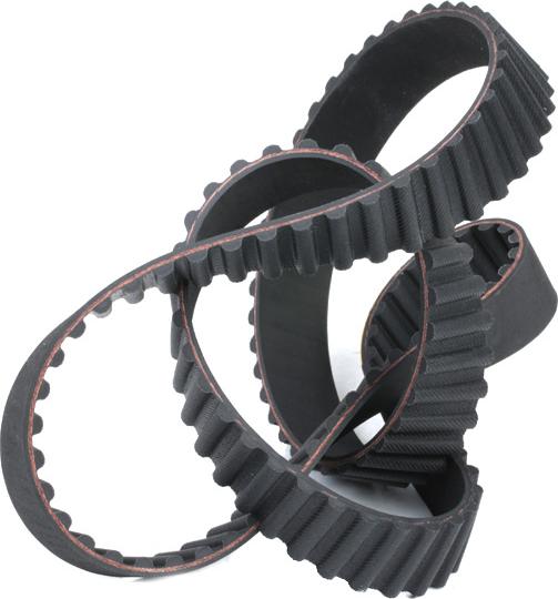 Stark SKTIB-0780010 - Ремінь ГРМ autocars.com.ua