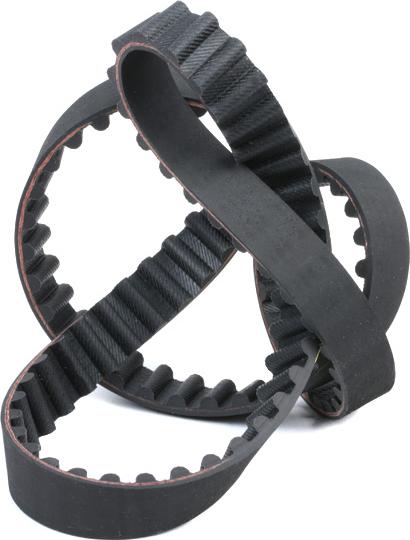 Stark SKTIB-0780023 - Ремінь ГРМ autocars.com.ua