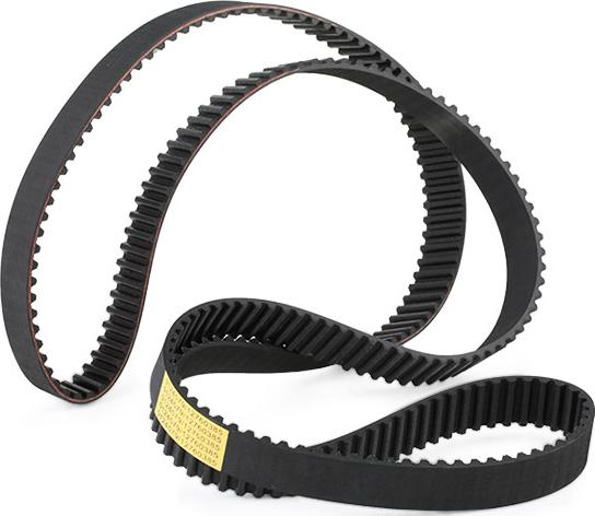 Stark SKTIB-0780230 - Ремінь ГРМ autocars.com.ua