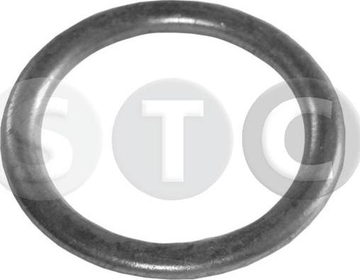 STC T402005 - Уплотнительное кольцо, резьбовая пробка маслосливного отверстия autodnr.net