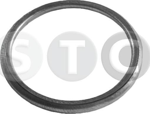 STC T402006 - Уплотнительное кольцо, резьбовая пробка маслосливного отверстия autodnr.net