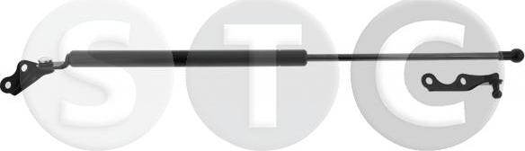 STC T446603 - Газовая пружина, упор avtokuzovplus.com.ua