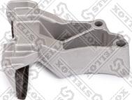 Stellox 04-81024-SX - Планка заспокоювача, ланцюг приводу autocars.com.ua