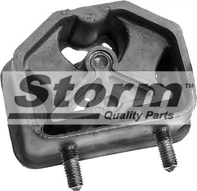 Storm 732610 - Подушка, підвіска двигуна autocars.com.ua