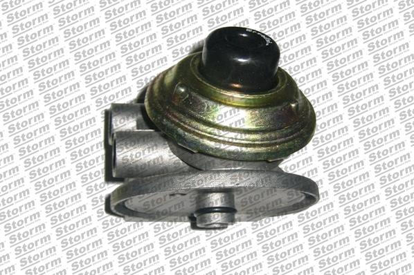 Storm 99944 - Ремкомплект, паливний насос autocars.com.ua